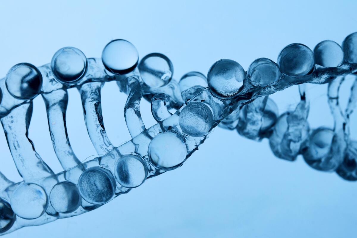 PDRN (polydeoxyribonucleotide) – składnik wspierający regenerację skóry i syntezę kolagenu